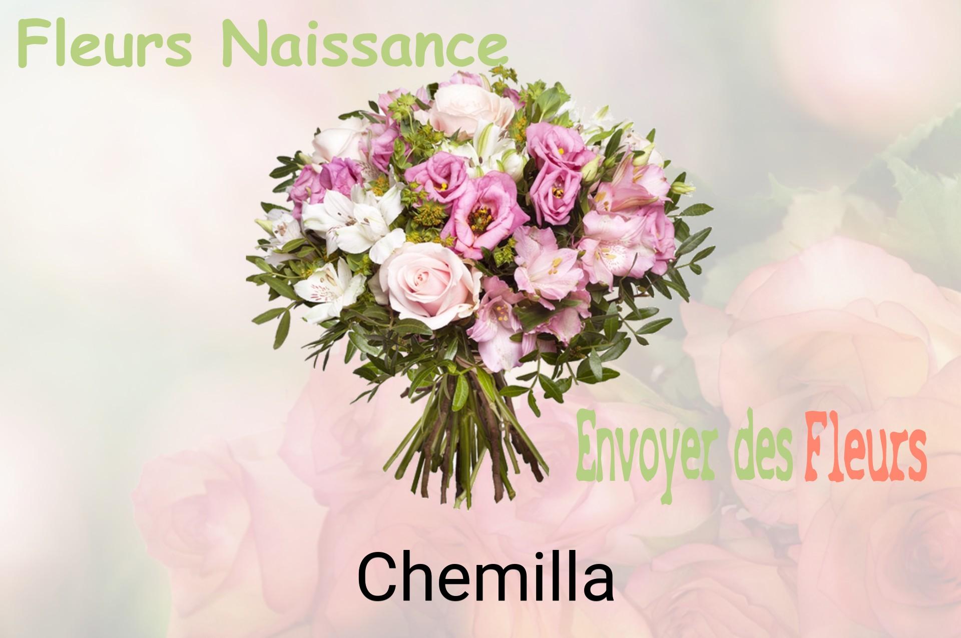 Bouquet de fleurs de naissance livré à Chemilla